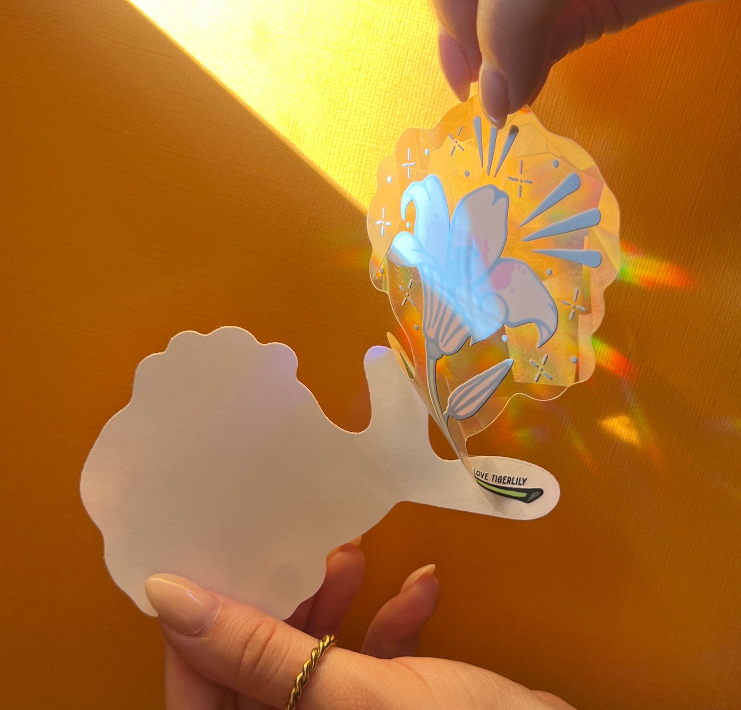 Hand unpeeling the lily suncatcher window sticker from the protective backing.