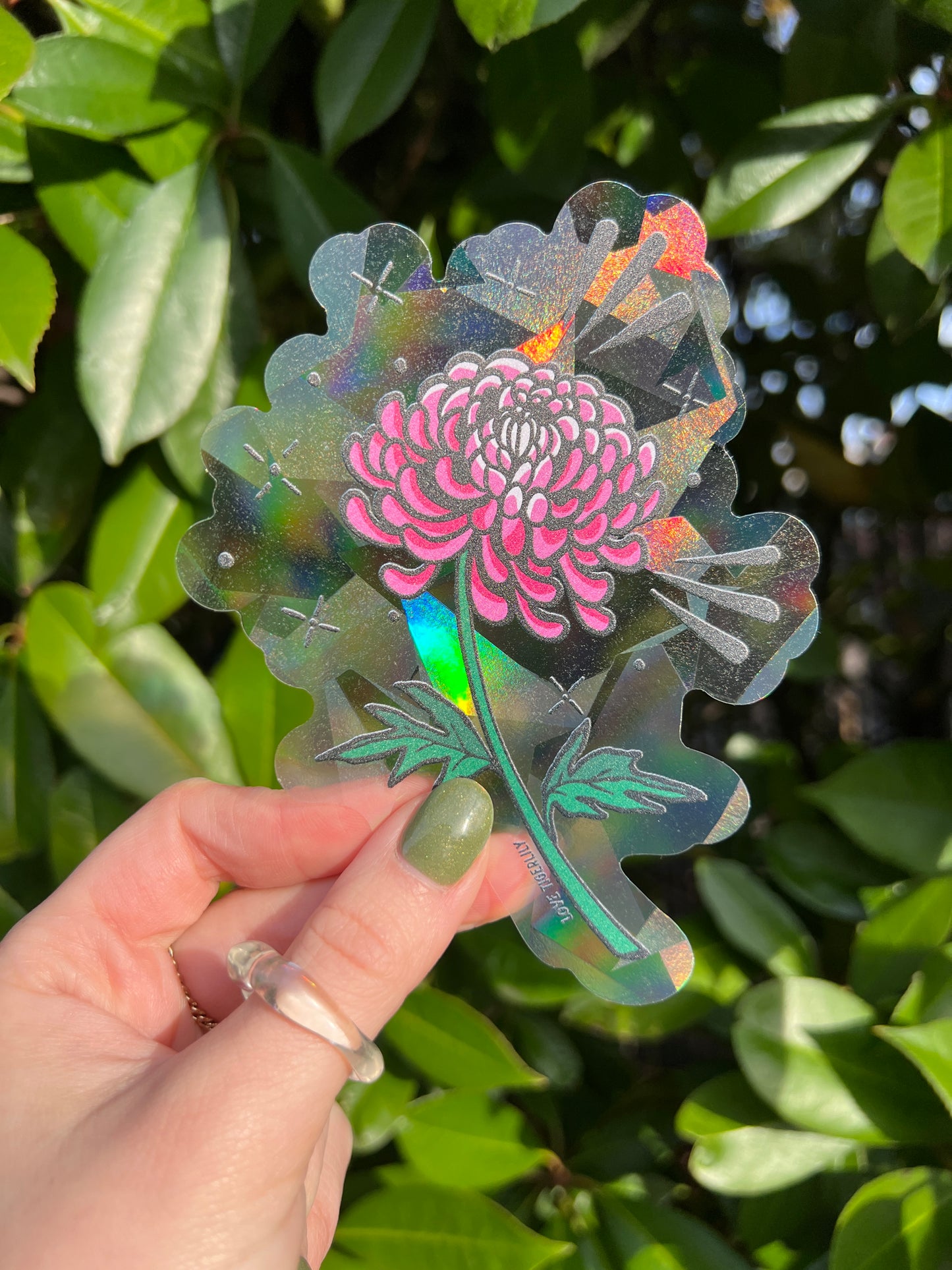 Chrysanthemum Rainbow Maker I November Birth Flower Suncatcher Window Sticker