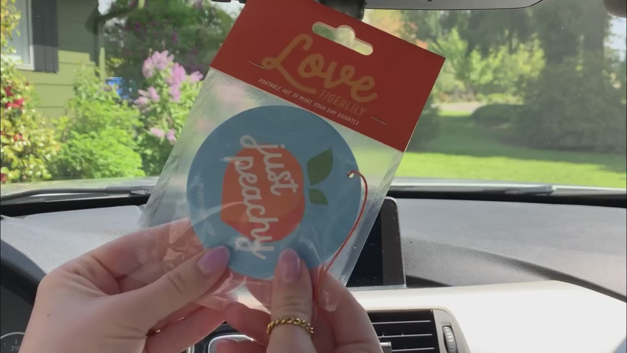 Car Air Fresheners To Use In Summer
