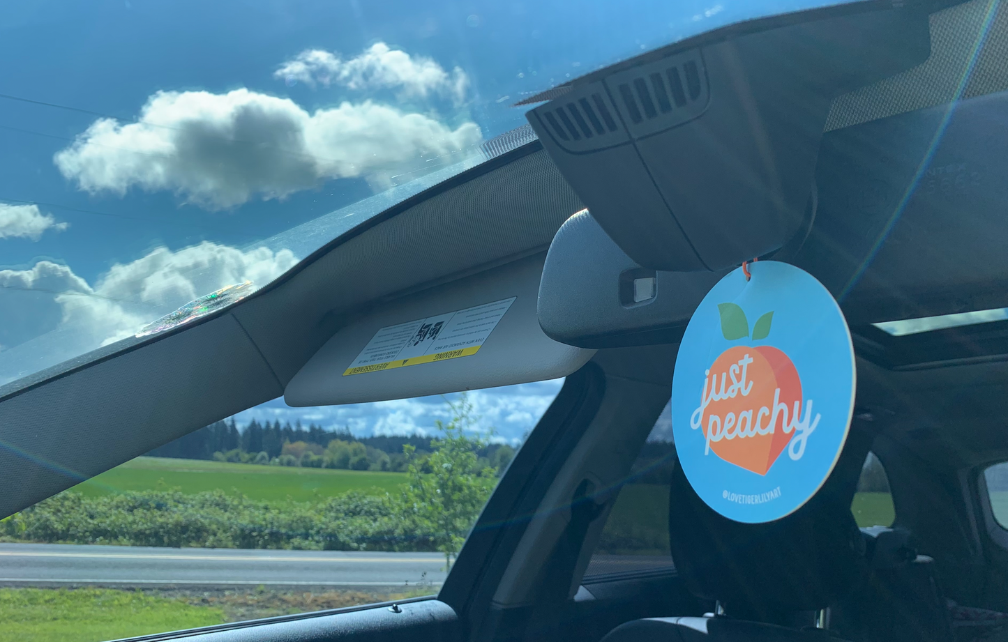 Just Peachy Air Fresheners I Dreamsicle Summer Peach Car Accessories